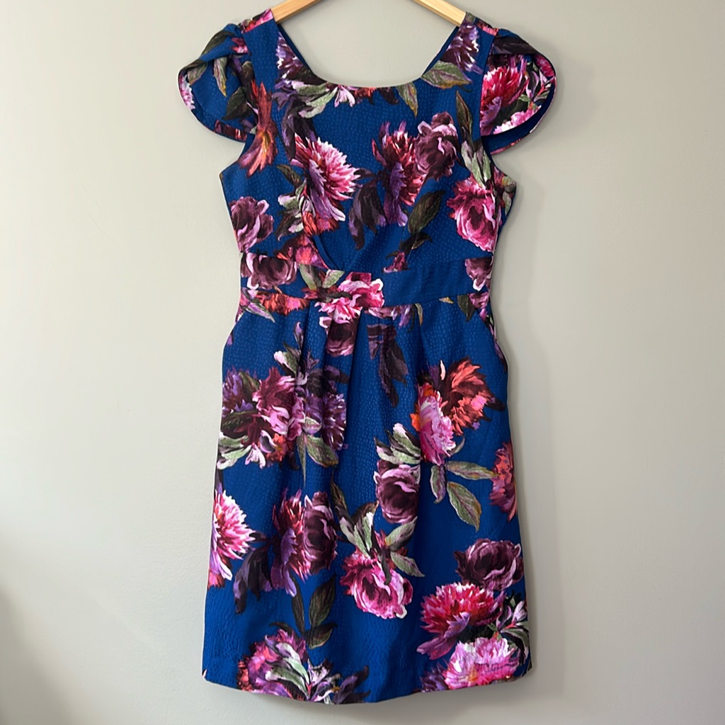 Anthropologie Moulinette Soeurs Rosana Dress Sz 8 Floral Blue Pink Madmen Retro